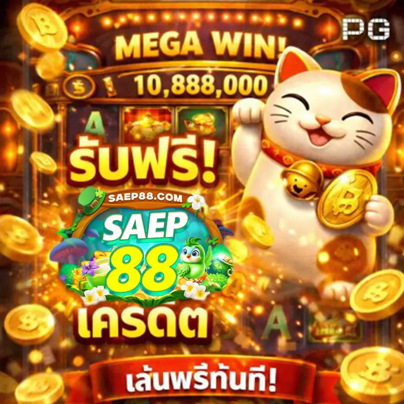 saep88 เข้าสู่ระบบ